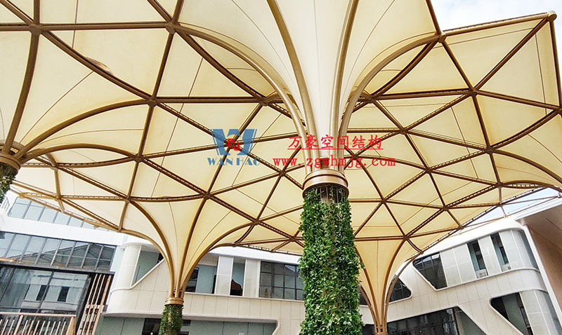 1672023431312288.jpg f.jpg