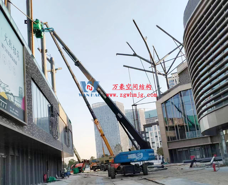 1672195130205206.jpg b.jpg